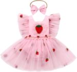 Newborn Infant Baby Girl Summer Romper Flower Strawberry Embroidery Tutu Tulle Princess Dresses with Headband