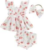 Baby Girl Summer Outfit Strawberry/Cherry/Lemon Smocked Tunic Tops Ruffle Bloomer Shorts Headband Cute 3Pcs Newborn Coming Home Summer Clothes 0-18M