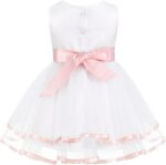 Baby Girls Floral Embroidered Flower Dress Wedding Pageant Christening Party Dress with Bloomers Outfit - Image 2
