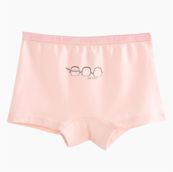 5 Pack Girl Cotton Underpanties Shorts Girls Toddler Knickers Panties Baby Briefs Underwear - Image 6