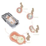 Baby Lounger with Pillow,Baby Lounger for Newborn Portable,Baby Nest Cosleeping for Baby in Bed Adjustable Size & Strong Zipper Lengthen Space to 24 Months(Animal World Blue) - Image 8