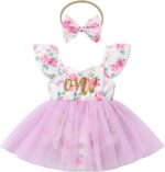 Baby Girl First Birthday Outfit Fly Sleeve Floral Printed Tutu Romper Dress with Bowknot Headband Set