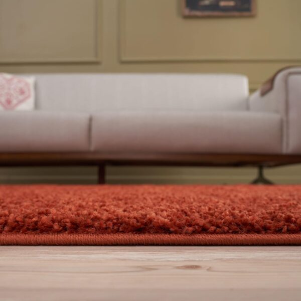 THE RUGS Living Room Rug - Shaggy Soft And Elegant Carpets For The Bedrooms And Kitchen, Easy To Clean, Many Different Sizes (80x150 cm, Terra) - Image 7