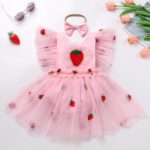 Newborn Infant Baby Girl Summer Romper Flower Strawberry Embroidery Tutu Tulle Princess Dresses with Headband - Image 2