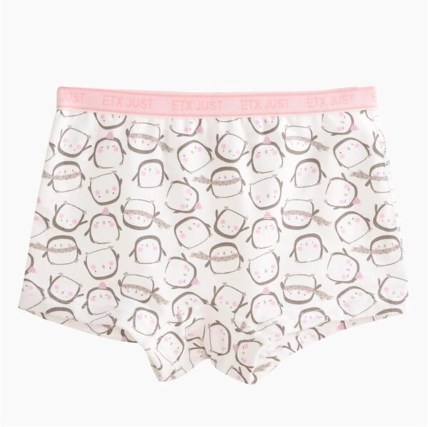 5 Pack Girl Cotton Underpanties Shorts Girls Toddler Knickers Panties Baby Briefs Underwear - Image 7