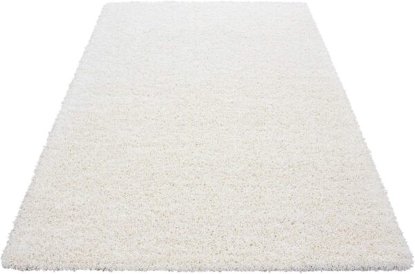 Small Large Shaggy Rug Modern Rugs Living Room Extra Large Small Medium Rectangular Size Soft Touch Thick Pile Living Room Area Rugs Non Shedding (Cream, 60x110 cm) - Image 5