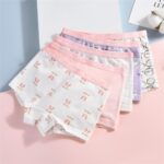 5 Pack Girl Cotton Underpanties Shorts Girls Toddler Knickers Panties Baby Briefs Underwear - Image 5