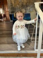 Tearfuty Baby Girl Clothes Dress Long Sleeve Mesh Tulle Dress - Image 3