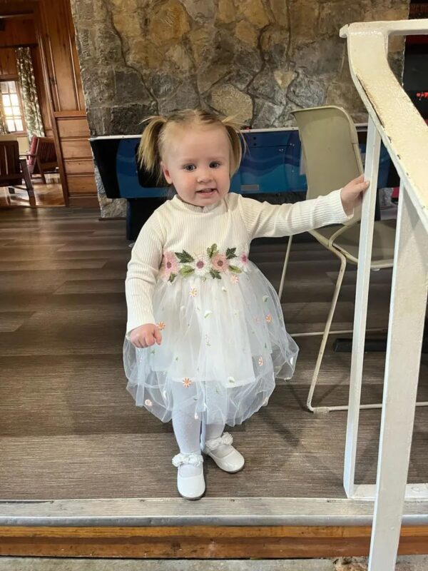 Tearfuty Baby Girl Clothes Dress Long Sleeve Mesh Tulle Dress - Image 3