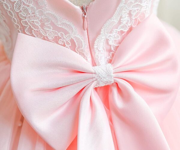 TTYAOVO Baby Girl Dress Toddler Flower Party Princess Dress - Image 5