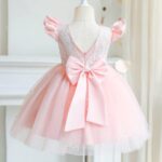 TTYAOVO Baby Girl Dress Toddler Flower Party Princess Dress - Image 4