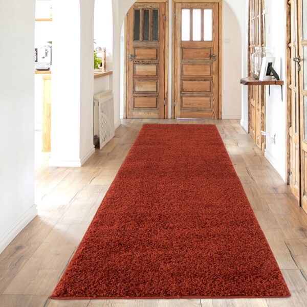 Living Room Rug - Cosy, Soft and Easy-to-Clean Area Rugs for Bedrooms and Kitchens, (Terra, 80 x 300 cm) - Image 4