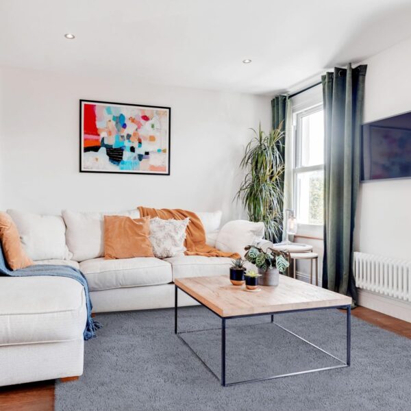 FVVRAX Area Rugs Living Room Rug, Soft Fluffy Shaggy Bedroom Rug Floor Carpet with Durable Anti-slip Backing, Carpets for Kids Girls Dorm Nursery Bedside Rug, 92x153cm, Grey - Image 3