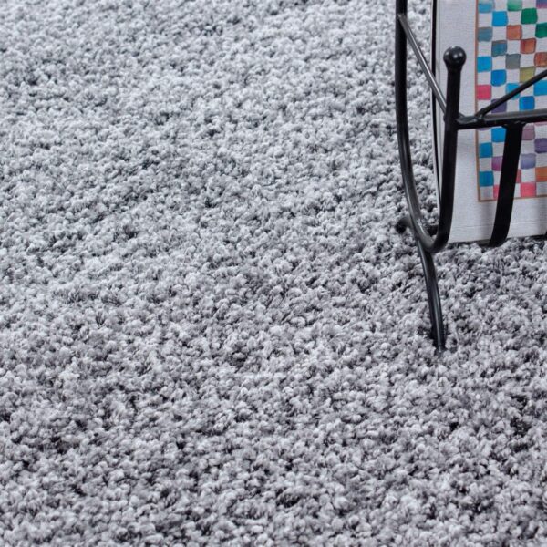 Abaseen Small Large Shaggy Rug Modern Rugs Living Room Extra Large Small Medium Rectangular Size Soft Touch Thick Pile Living Room Area Rugs Non Shedding (Silver, 60x110 cm) - Image 4