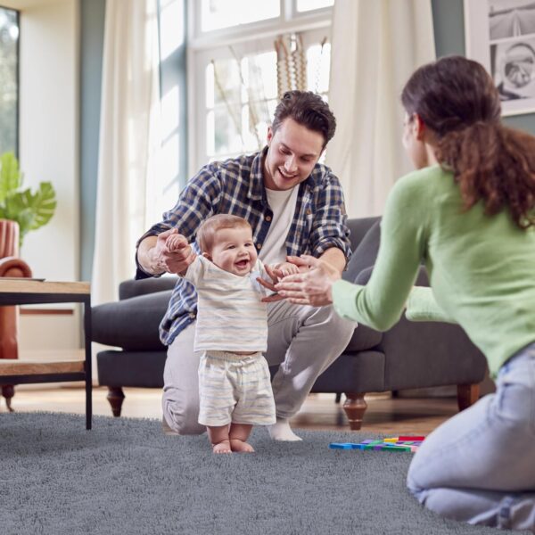 FVVRAX Area Rugs Living Room Rug, Soft Fluffy Shaggy Bedroom Rug Floor Carpet with Durable Anti-slip Backing, Carpets for Kids Girls Dorm Nursery Bedside Rug, 92x153cm, Grey - Image 6