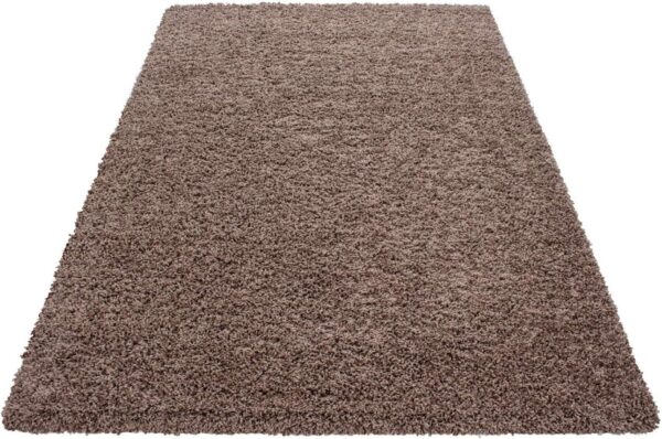 Abaseen Small Large Shaggy Rug Modern Rugs Living Room Extra Large Small Medium Rectangular Size Soft Touch Thick Pile Living Room Area Rugs Non Shedding (Mocha, 80x150 cm) - Image 5