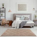 THE RUGS Modern Moroccan Design Living Room and Bedroom Rugs, Non-Shedding & Easy Care (Boho Beige/Ivory, 120x170 cm) - Image 4