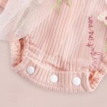 JiAmy Baby Girl Clothes Newborn Floral Embroidery Mesh Tulle Romper Toddler Ruffle Short Sleeve Bodysuit Spring Summer Baby Girl Dress for 0-24 Months - Image 5