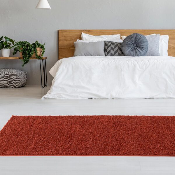 Living Room Rug - Cosy, Soft and Easy-to-Clean Area Rugs for Bedrooms and Kitchens, (Terra, 80 x 300 cm) - Image 2