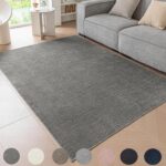 Short Pile Rug, Non-Slip Washable Rugs for Bedroom,Chenille Thin Carpet for Kids Room, Office, Lounge,Soft Area Rugs for Living Room (Dark Grey, 60×90cm)