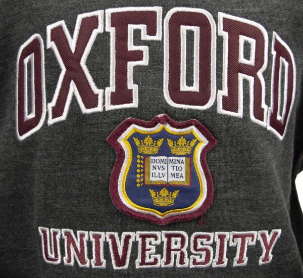 Oxford University OU129K Kids Licensed Unisex Hooded Sweatshirt Charcoal (1-2 Years) - Image 2