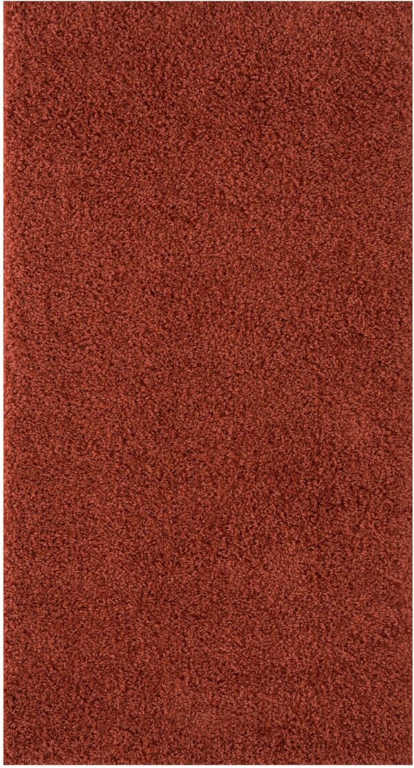 THE RUGS Living Room Rug - Shaggy Soft And Elegant Carpets For The Bedrooms And Kitchen, Easy To Clean, Many Different Sizes (80x150 cm, Terra) - Image 6