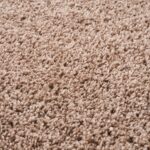 THE RUGS Living Room Rug - Shaggy Soft And Elegant Carpets For The Bedrooms And Kitchen, Easy To Clean, Many Different Sizes (60x110 cm, Beige) - Image 5