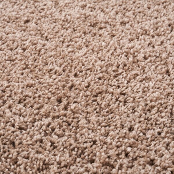THE RUGS Living Room Rug - Shaggy Soft And Elegant Carpets For The Bedrooms And Kitchen, Easy To Clean, Many Different Sizes (60x110 cm, Beige) - Image 5