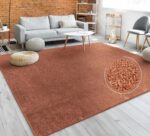 Paco Home Living Room Rug Plain Simple And Modern Short-Pile, Various Sizes and colours, Size:80x150 cm, Colour:Copper