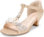 DREAM PAIRS Girls Sandals Ankle Strap T-Strap Low Heel Pearl Bow Flower Pump Dress Wedding Party Shoes for Little Kid/Big Kid