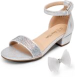 DREAM PAIRS Girls Sandals Low Heel Dress Pump Ankle Strap Interchangeable Bow Flower Wedding Party Shoes for Little Kid/Big Kid