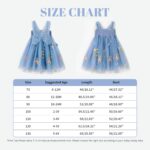 Miipat Baby Girl Dress Tulle Butterfly Toddler Girls Sleeveless Embroidery Floral Princess Dresses Wedding Party Birthday Dress for Girl - Image 6